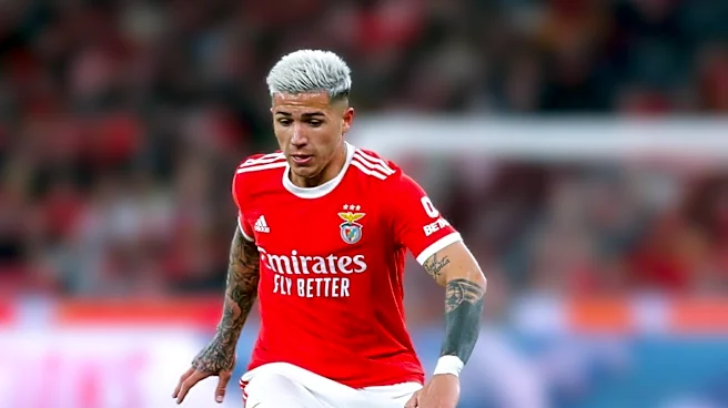 Bournemouth in Negotiations to Sign Benfica's Antonio Silva