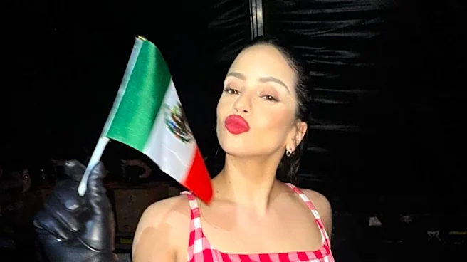 Rosalía's Spanish Flag Outfit Sparks Social Media Buzz Ahead of World Cup Final