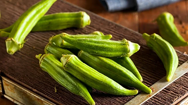 Okra Water Gains Popularity for Potential Health Benefits
