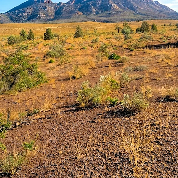 Nevada Organic Reports Significant Phosphate Assay Results at Murdock Mountain