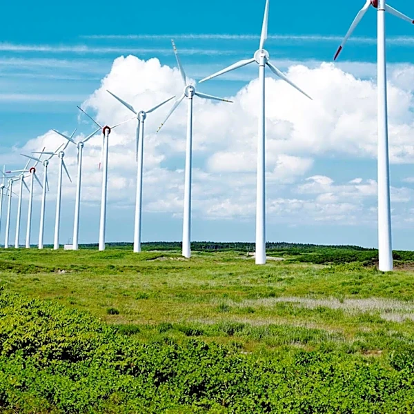 GEKA Achieves 63% Emissions Reduction and 100% Renewable Electricity in Sustainability Milestone
