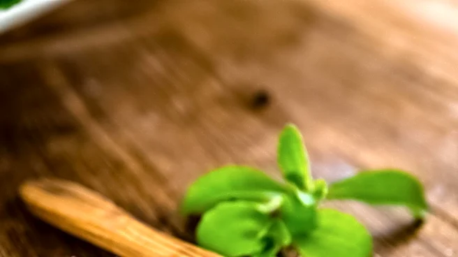 Study Reveals Potential Gut Health Risks from Common Sweeteners