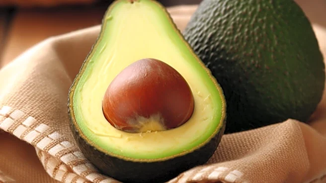 Study Finds No Significant Cognitive Benefits from Daily Avocado Consumption