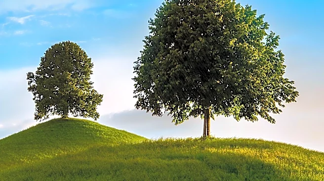 Schertz, Texas: A Tranquil Hill Country Getaway Near San Antonio