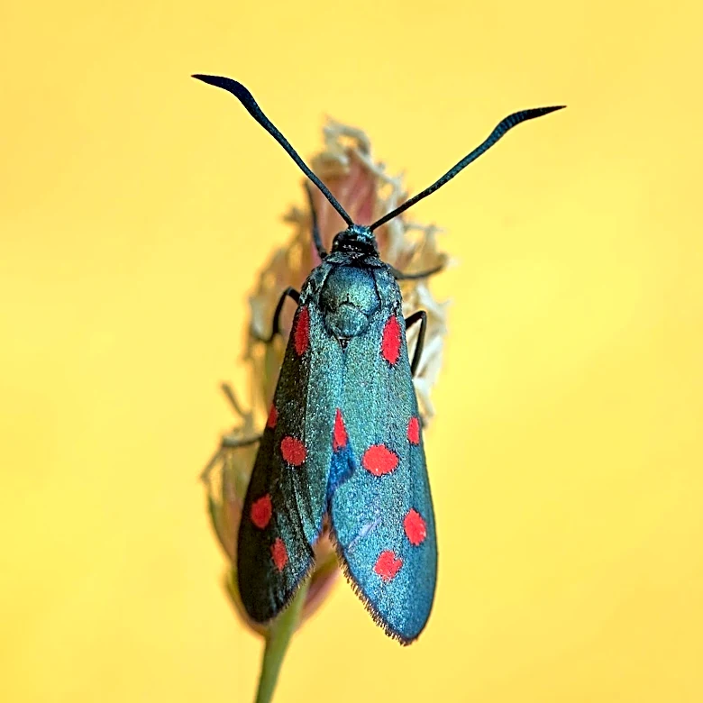The Moth and Comic Relief Collaborate for 'Funny Story' Event at New York Comedy Festival