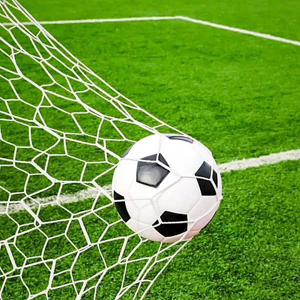 Luis de la Fuente and Lionel Scaloni Redefine International Management Success