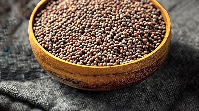 MustardSeed Expands to UK, Targeting Key Industrial Sectors