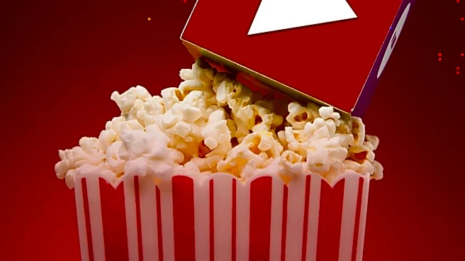 Netflix in Advanced Talks to Secure Major Advertising Deals