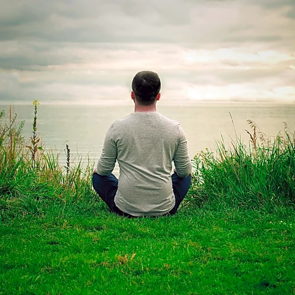 Psychological Insights: Stillness as a Response to Overwhelming Situations