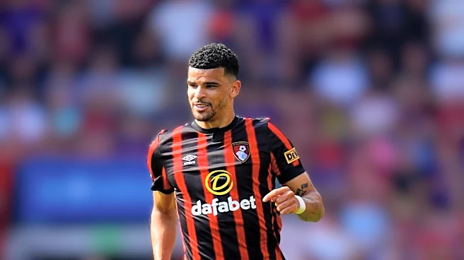 Bournemouth Fans Eager for European Challenges in Upcoming Season