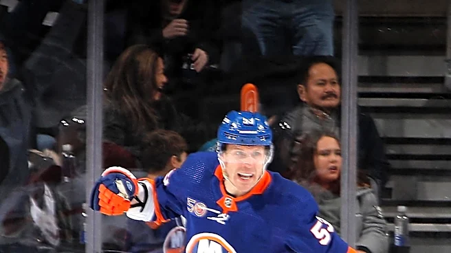 New York Islanders Secure Tikkanen with One-Year Contract Amidst Season Preparations