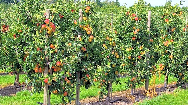 Agritourism Thrives in Montgomery County, Boosting Local Economy and Preserving Farmland