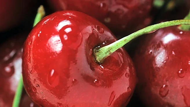 Cherry Industry Launches True Tart Certification for Montmorency Cherries