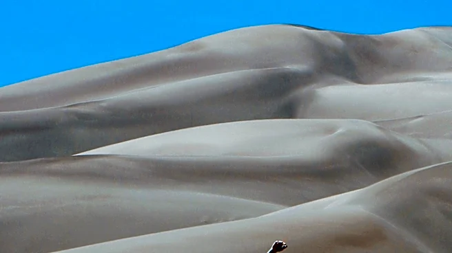 Carvalho Gallery's Summer Performance Series Blends Nature and Dance
