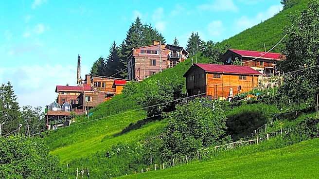 Tiny Home Resort in Catskills Offers Spacious Experience in 260-Square-Foot House