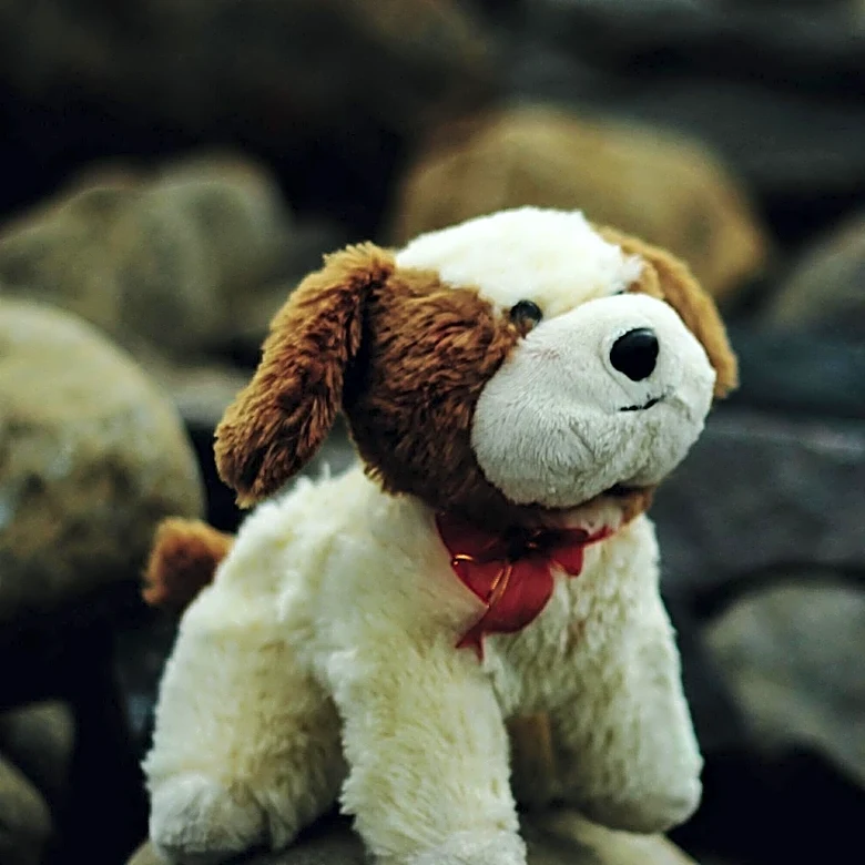 Pet Safety Expert Warns of Hidden Dangers in Dog Toys Leading to Health Risks