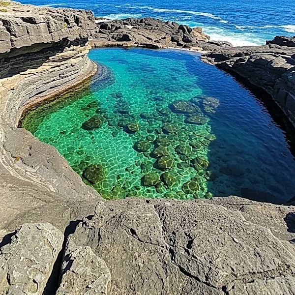 Homeowners Shift to Natural Pools for Sustainable Backyard Design