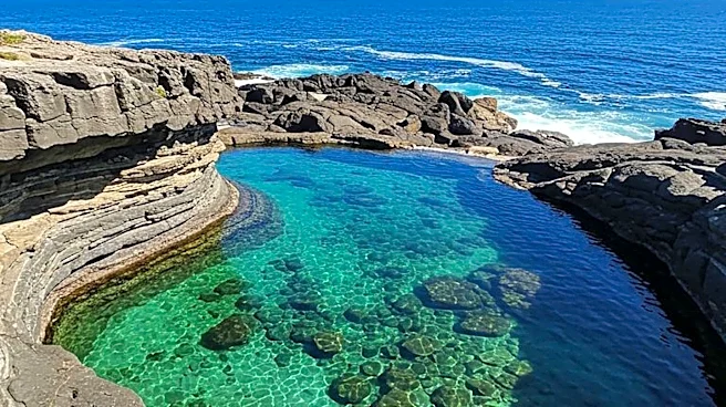 Homeowners Shift to Natural Pools for Sustainable Backyard Design