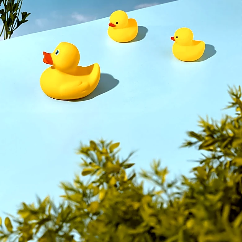 DuckDuckGo Seeks Creative Design Lead for Marketing Campaigns