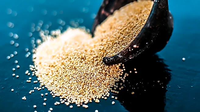 Poppy Seeds: Nutritional Benefits and Potential Risks for Consumers