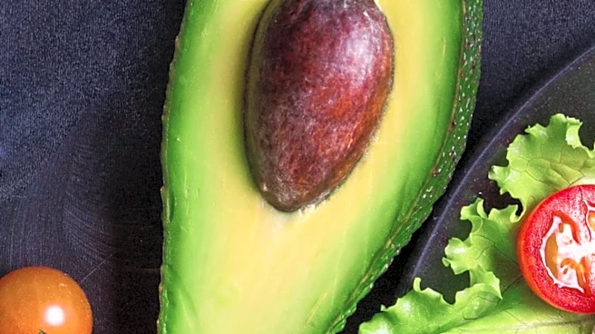 Study Finds Daily Avocado Consumption Reduces Heart Disease Risk