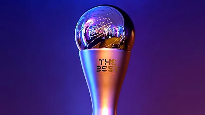 FIFA Sells World Cup Final Field Pieces for $450, Sparking Collectible Craze