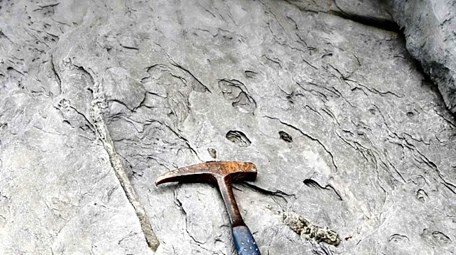 Commodore Metals Plans 2026 Exploration for Keefers-Hannah Gold Project