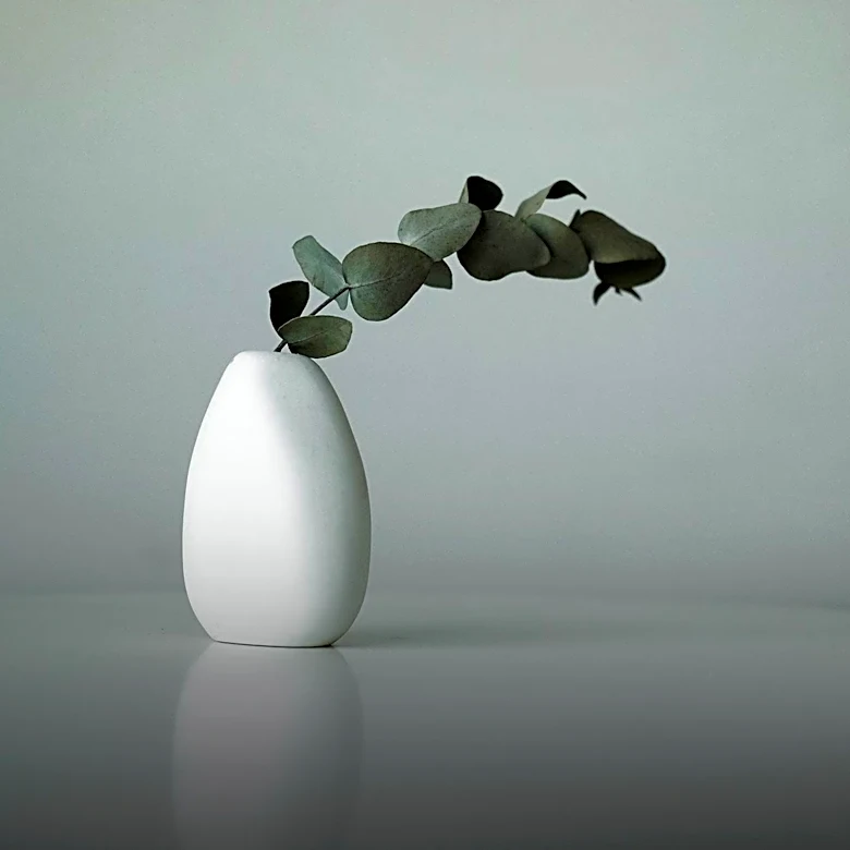 Sonja Lang Develops Toki Pona: A Minimalist Language with 120 Words