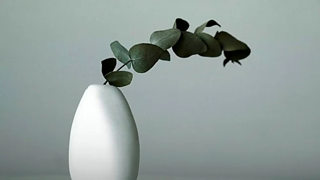 Sonja Lang Develops Toki Pona: A Minimalist Language with 120 Words