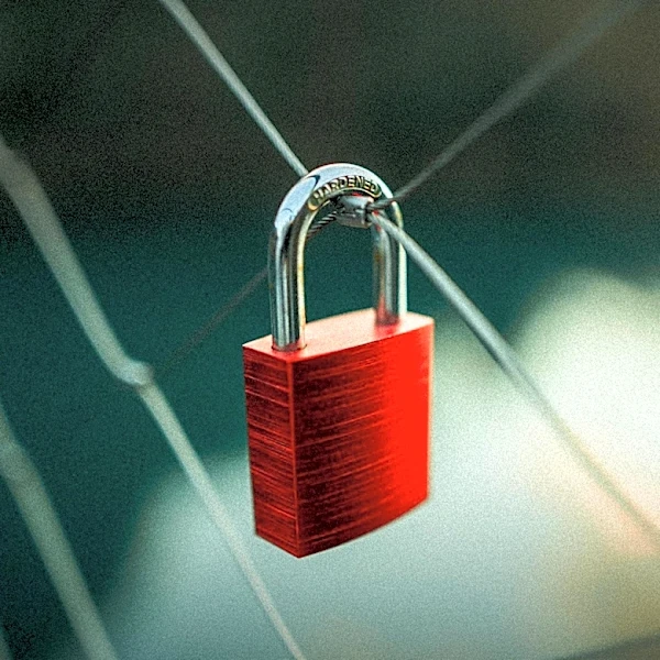 WordPress Vulnerabilities Exploited, Affecting Millions of Websites Globally