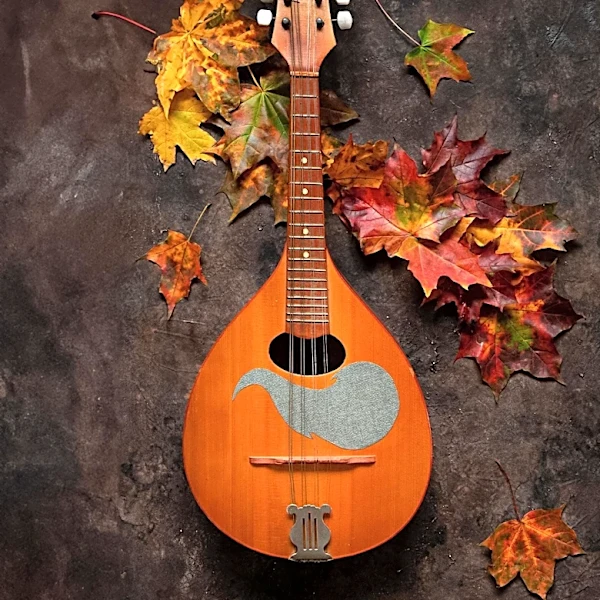 Musician Ray Jackson Purchases Rare Mandolin from Oxfam Charity Shop