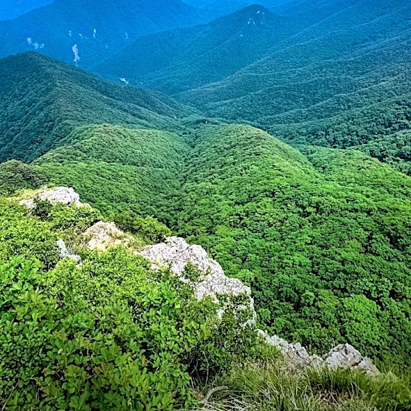 Blue Ridge Recognized as Georgia's Premier Summer Escape for Cooler Temperatures