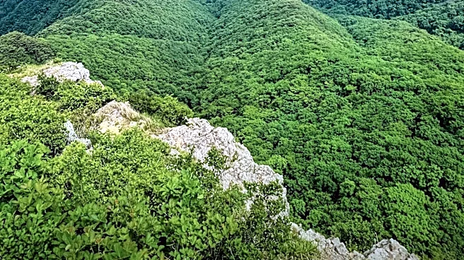 Blue Ridge Recognized as Georgia's Premier Summer Escape for Cooler Temperatures