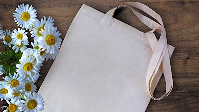 Lands' End Offers 40% Discount on Popular Canvas Tote, Enhancing Everyday Utility