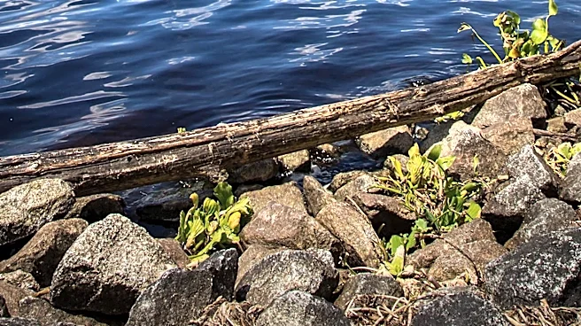 Stockton State Park Offers Diverse Recreational Activities Amidst Scenic Missouri Landscape