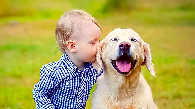 Mom Engages Golden Retrievers in Baby's Story Time, Highlighting Family Bonding