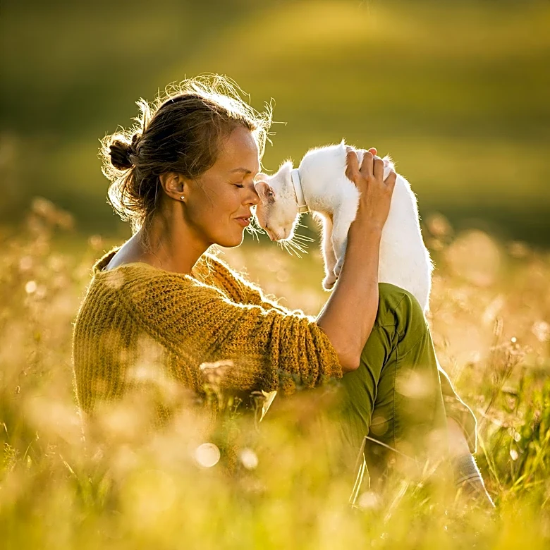 Minnesota Woman Reunited with Cat After 40 Days in Colorado Wilderness