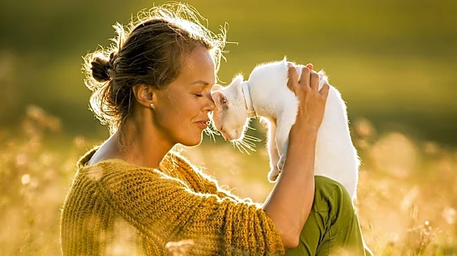 Minnesota Woman Reunited with Cat After 40 Days in Colorado Wilderness