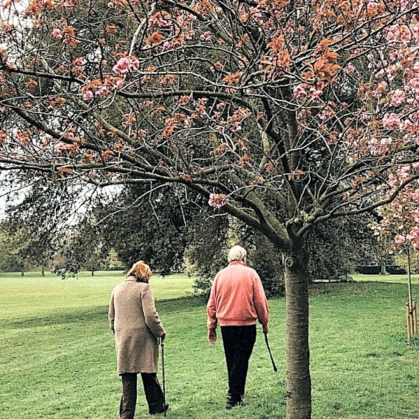 Canterbury Pilgrimage Sees Resurgence as People Seek Meaning Post-Covid