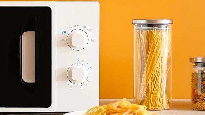 Experts Debunk Myths About Microwave Radiation and Health Risks