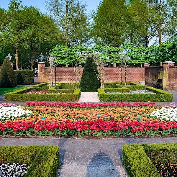 Creating a Formal Garden in Small Spaces: Top Plant Choices