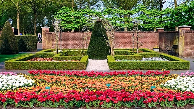 Creating a Formal Garden in Small Spaces: Top Plant Choices