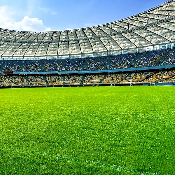Northern Ireland to Play Ukraine in Slovakia Amid UEFA Restrictions