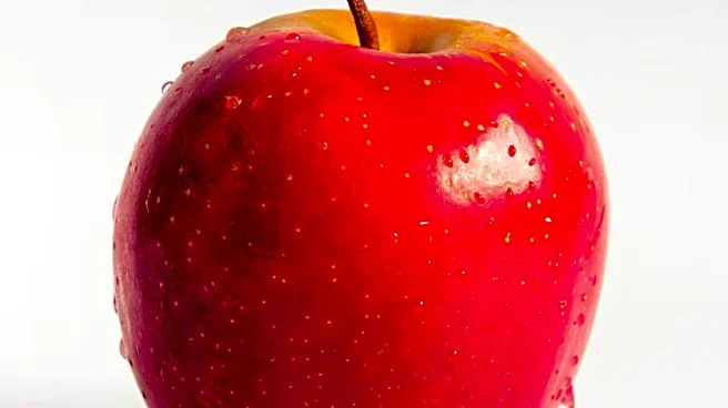 Apple Music Raises Subscription Prices Due to Licensing Costs