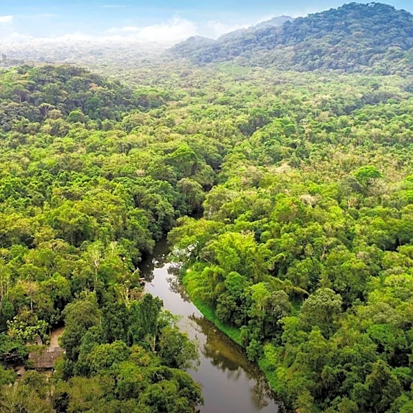 Inditex Invests 6.5 Million Euros in Amazon Rainforest Protection Initiative