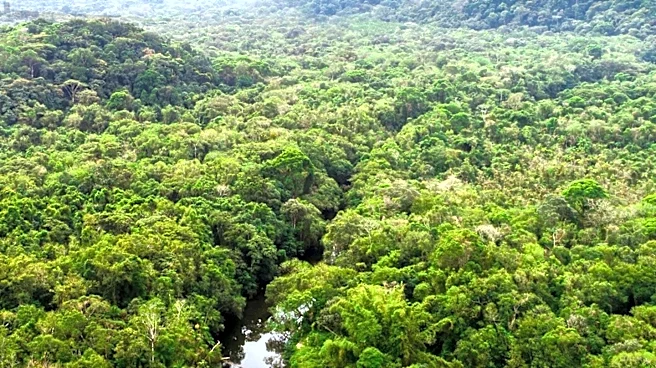 Inditex Invests 6.5 Million Euros in Amazon Rainforest Protection Initiative