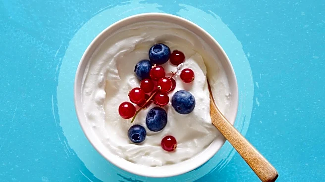 Greek Yoghurt Gains Popularity as a High-Protein Breakfast Alternative