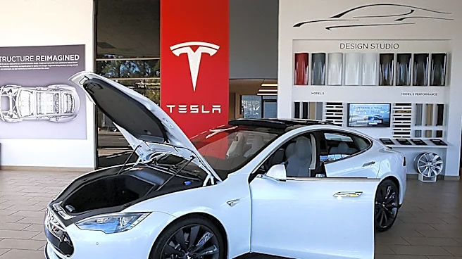 Tesla's Sales Surge Amidst Increased Cash Burn for New Ventures