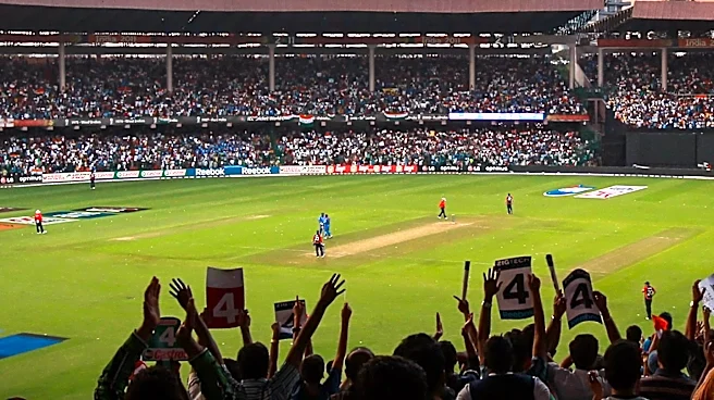 Sports Journalist Reflects on Rediscovering Passion for Sports Fandom