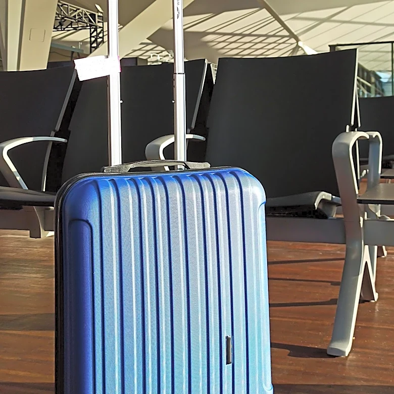 Guidelines for Passengers Facing Lost or Delayed Luggage in the U.S.